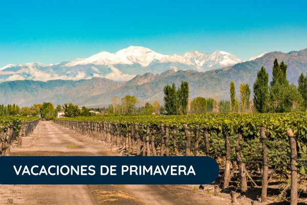 Mendoza y Santiago - Cordillera al Sol